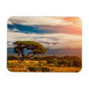 Buscar kenia imanes Paisaje