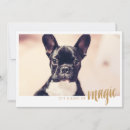 Buscar especias tarjetas Para todos