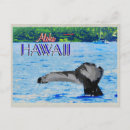 Buscar ballena jorobada islas hawaianas