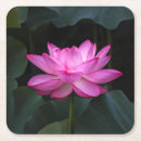 Buscar flor de loto posavasos Hoja