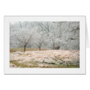 Buscar tormenta fotografía Hielo