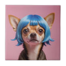 Buscar chihuahua azulejos Divertido