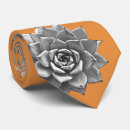 Buscar cactus del desierto corbatas Naturaleza