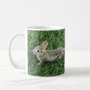 Buscar pic tazas Animal