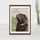 Buscar perro labrador tarjetas Papá