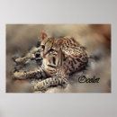 Buscar ocelot arte Gato salvaje