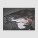 Buscar retratos papel de seda Fotografía