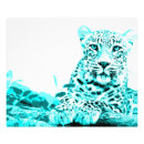 Buscar georgianos posters Gatos