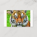 Buscar tigre tarjetas de visita Depredador