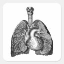 Buscar pulmones pegatinas Corazón