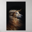 Buscar afganos posters General y unisex