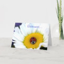 Buscar oportunidad fotografía Flores