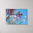 Buscar flores de cerezo lienzos Blanco