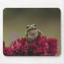 Buscar rana arbórea alfombrillas de raton Fauna