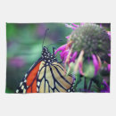 Buscar mariposa monarca paños de cocina Mariposas