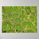 Buscar vida vegetal arte Verde