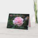 Buscar jardín inglés tarjetas Rosa