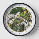 Buscar loro verde relojes de pared Paracaídas