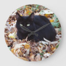 Buscar gato grande relojes de pared Naturaleza