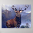 Buscar stag arte Animal