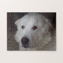 Buscar los pirineos puzzles Grande