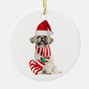 Buscar shih tzu adornos Santa