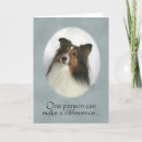 Buscar perro pastor tarjetas Sheltie