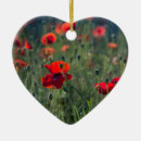 Buscar amapola adornos Campo de amapolas