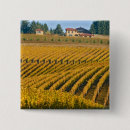 Buscar vino chapas País del vino