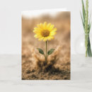 Buscar suelo tarjetas General y unisex