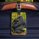 Buscar gorila etiquetas para maletas Lindo animal bebé