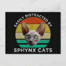 Buscar distraído postales Humor