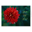 Buscar dalia roja Flor