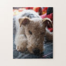 Buscar alambre puzzles Terrier