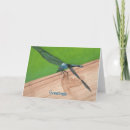 Buscar aviones tarjetas General y unisex