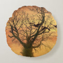 Buscar torcido cojines Ramas torcidas