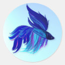 Buscar pescados azules pegatinas Betta