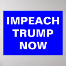 Buscar triunfo posters Demócrata