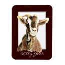 Buscar de billy imanes Animal