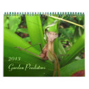 Buscar mosca calendarios Arañas