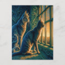 Buscar gatos curiosos postales Gatitos