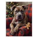 Buscar amstaff posters Perro