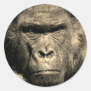 Buscar gorila pegatinas Animal salvaje
