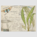 Buscar decoupage papel de seda Helecho