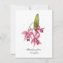 Buscar orquídeas tarjetas Para ella