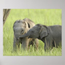 Buscar elefante indio arte Asiático