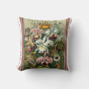 Buscar haeckel cojines Verde