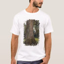 Buscar tronco de árbol camisetas Juan