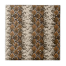 Buscar piel de serpiente azulejos Reptil