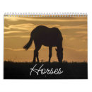 Buscar caballos calendarios 6 º caballito